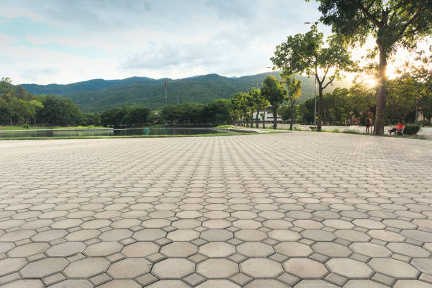 Best Concrete Paver Driveway  in Brunswick, MD