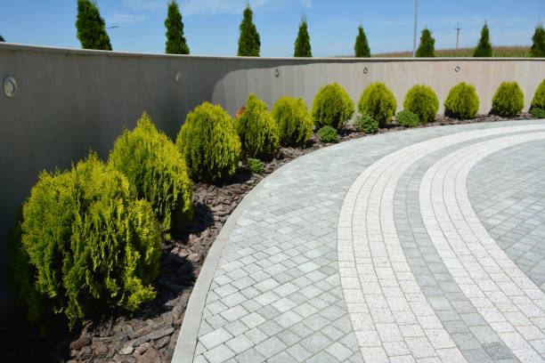 Best Driveway Repair Near Me  in Brunswick, MD